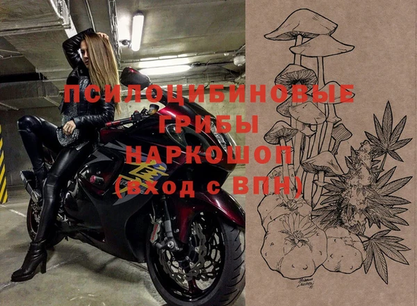 гашик Наволоки