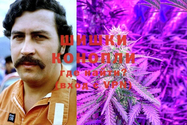 дмт Надым