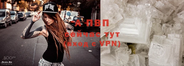 дмт Надым